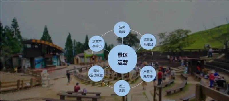 义乌文化传媒公司的创新之路